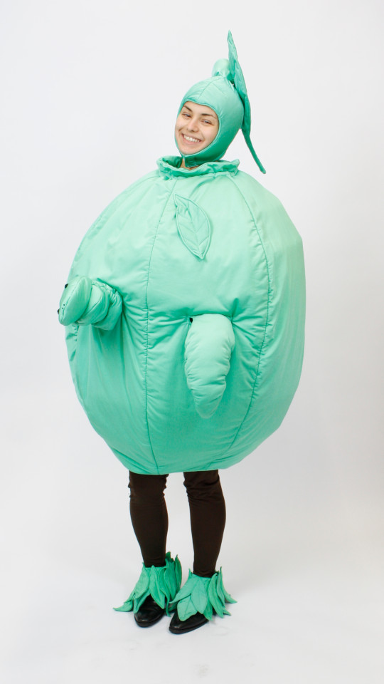 Apfel Outfit (Anzug, Gamaschen, Handschuhe und Strumpfhose) - Kostüme ...